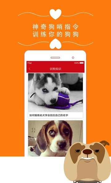 狗狗之家