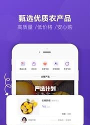 点筹网