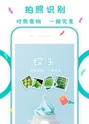 探头