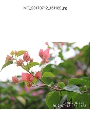鹰视眼镜  v3.1图4