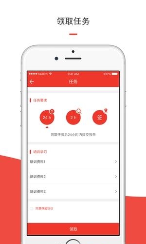 洞见者
