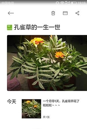慕奈花舍  v1.4图4