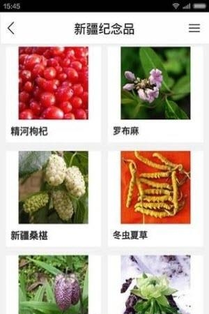 新疆旅游网  v1.0图1