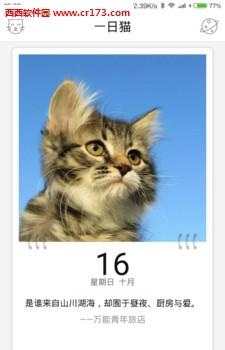 一日猫  v1.6.1图1