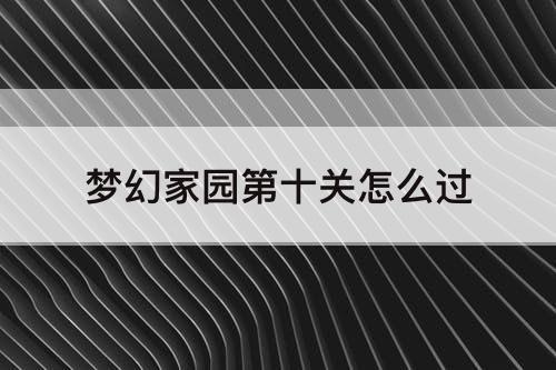 梦幻家园第十关怎么过