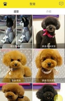 掌心宠物安卓版  v1.1.0图3