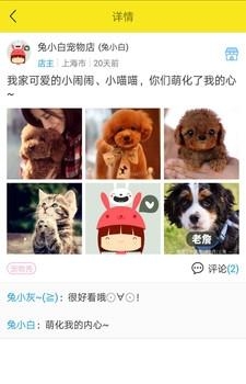 掌心宠物安卓版  v1.1.0图4