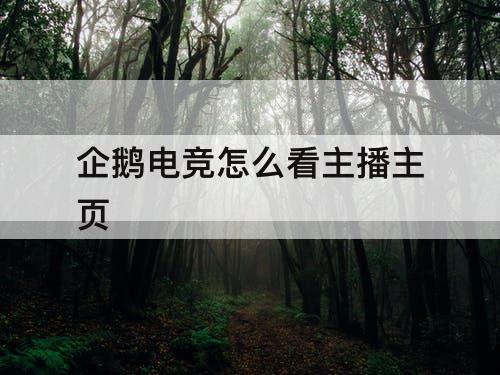 企鹅电竞怎么看主播主页