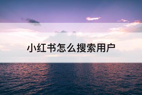 小红书怎么搜索用户