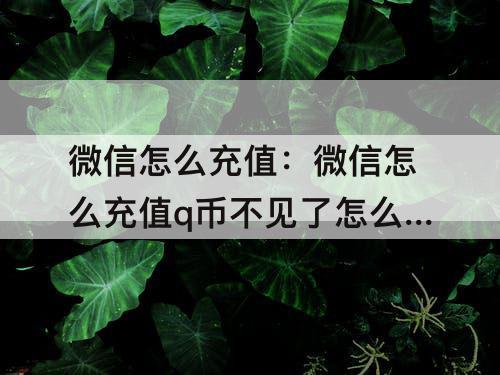 微信怎么充值：微信怎么充值q币不见了怎么办