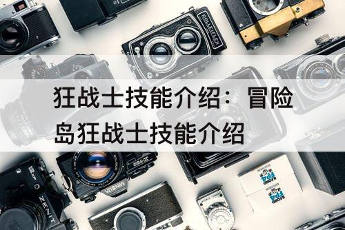 狂战士技能介绍：冒险岛狂战士技能介绍