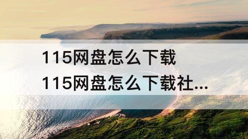 115网盘怎么下载 115网盘怎么下载社区资源