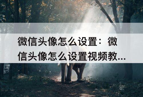 微信头像怎么设置：微信头像怎么设置教程