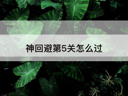神回避第5关怎么过