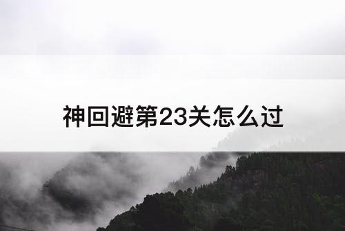 神回避第23关怎么过