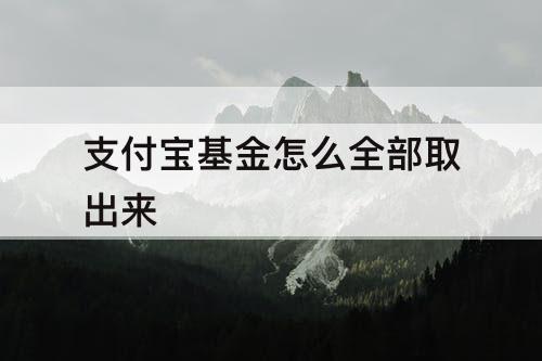 支付宝基金怎么全部取出来