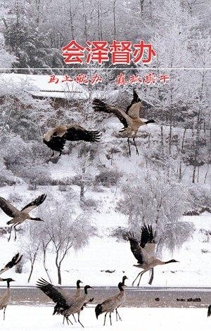 会泽督办  v1.0.13.3图2