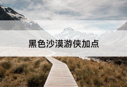 黑色沙漠游侠加点