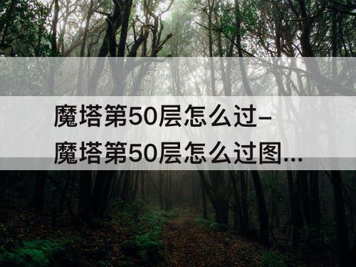 魔塔第50层怎么过-魔塔第50层怎么过图解