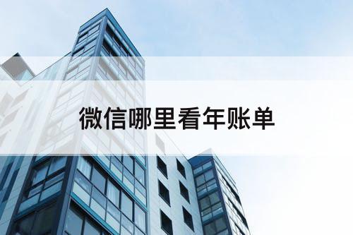 微信哪里看年账单
