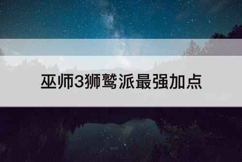 巫师3狮鹫派最强加点