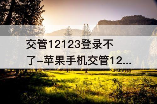 交管12123登录不了-苹果手机交管12123登录不了手势密码总是让输入