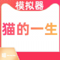 地下城与勇士M韩服