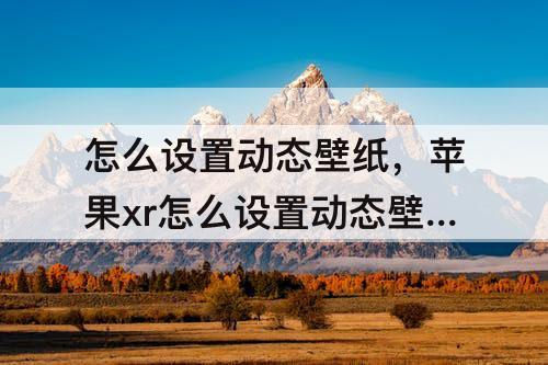 怎么设置动态壁纸，苹果xr怎么设置动态壁纸不用按屏幕就会动