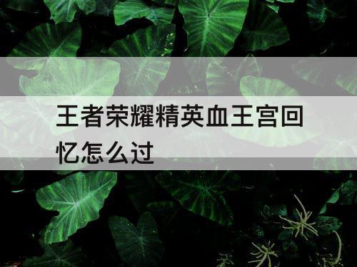 王者荣耀精英血王宫回忆怎么过