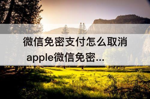 微信免密支付怎么取消 apple微信免密支付怎么取消了会退钱吗