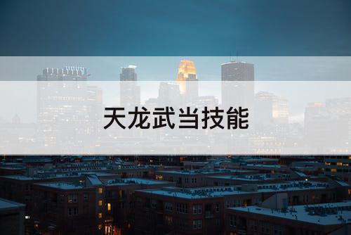 天龙武当技能
