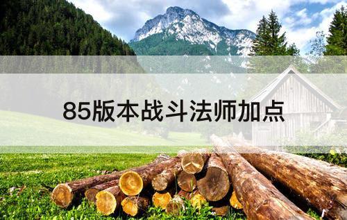 85版本战斗法师加点