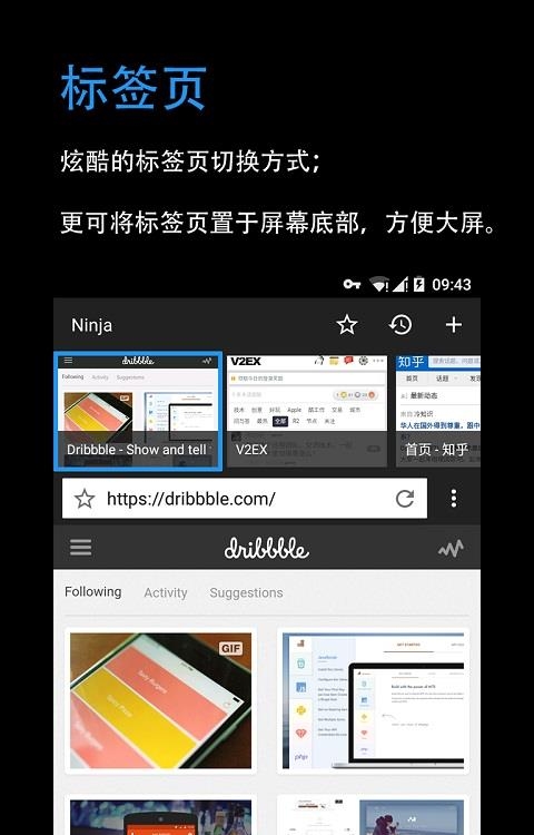 Ninja网络浏览器