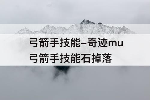 弓箭手技能-奇迹mu弓箭手技能石掉落