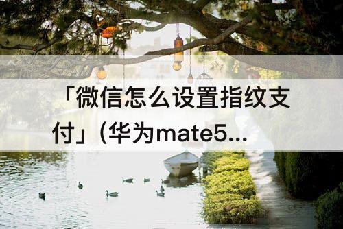 「微信怎么设置指纹支付」(华为mate50微信怎么设置指纹支付)