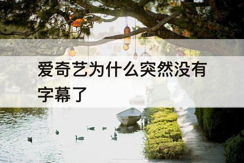 爱奇艺为什么突然没有字幕了