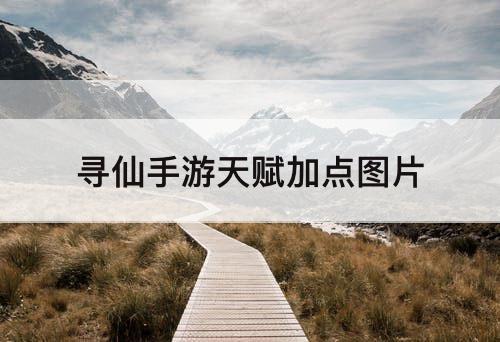 寻仙手游天赋加点教程