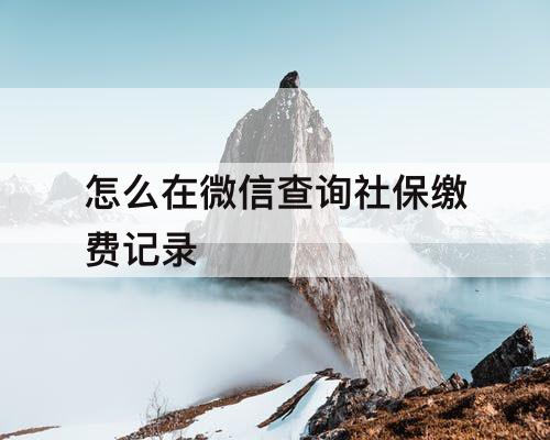 怎么在微信查询社保缴费记录