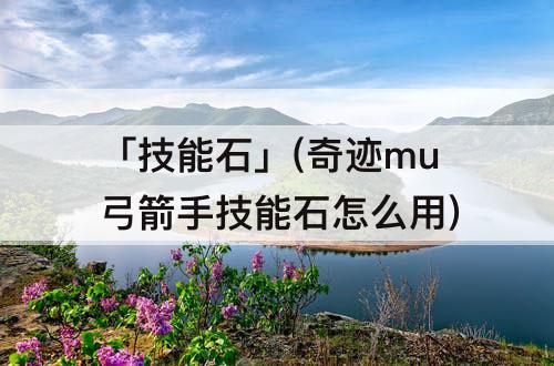 「技能石」(奇迹mu弓箭手技能石怎么用)