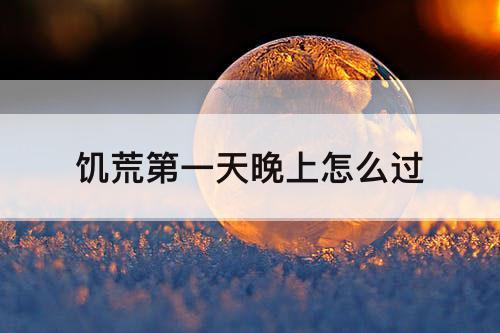 饥荒第一天晚上怎么过