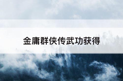 金庸群侠传武功获得