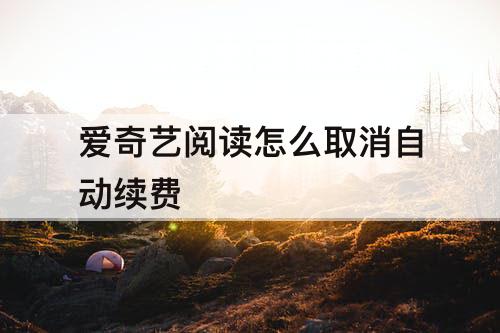 爱奇艺阅读怎么取消自动续费