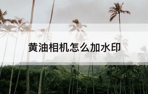黄油相机怎么加水印