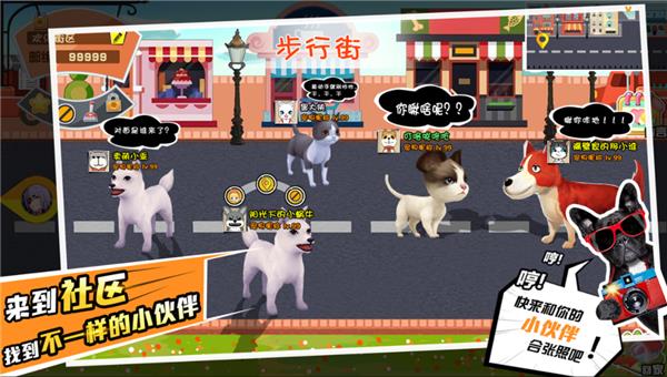 宠物天团  v0.4.6图3
