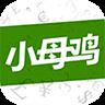 小母鸡