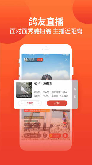 赛鸽头条  v2.1.16.7图3
