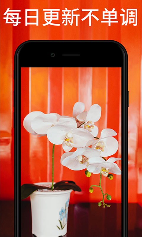 高清动态壁纸  v1.0.0图4