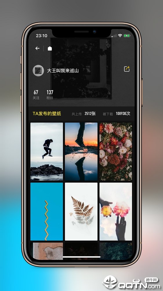 纸塘壁纸  v1.2.6图2