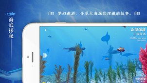 寻海