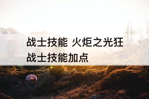 战士技能 火炬之光狂战士技能加点